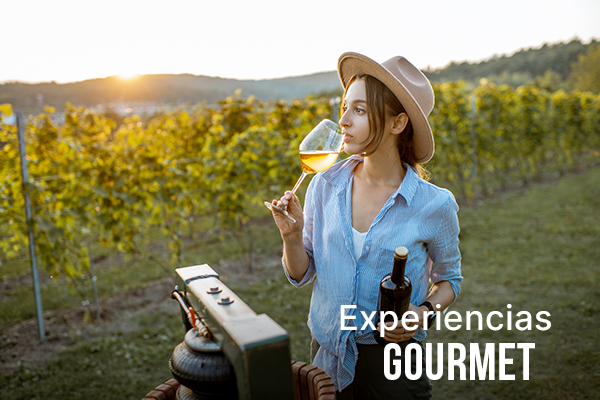 CARRUSEL_IMG_VIRTUOSO_COMIDA_VINOS