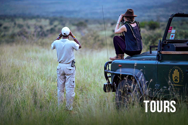 CARRUSEL_IMG_VIRTUOSO_TOURS